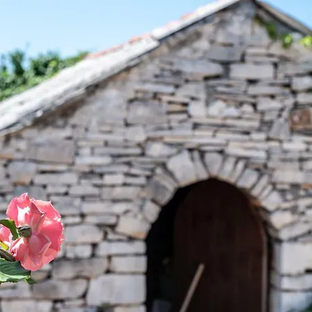 House Markoc Ferienhaus